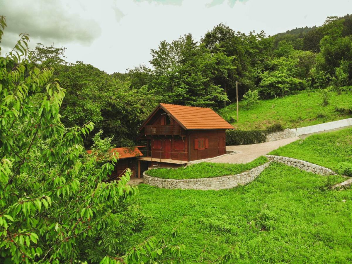 Lazec Country House Vila Pluznje Exterior foto